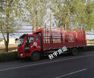 阜新仓栏挂车配货信息